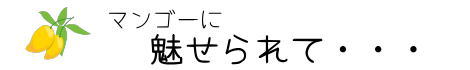 マンゴーに魅せられて・・・